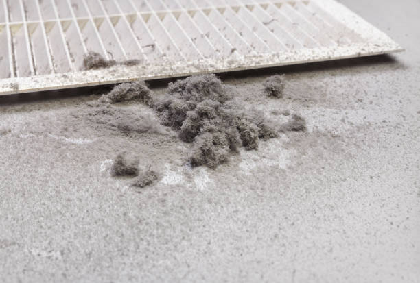 Best Local Air Duct Cleaning Services  in St Ann, MO