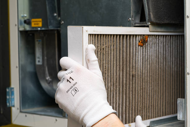 Best Home Air Vent Cleaning  in St Ann, MO